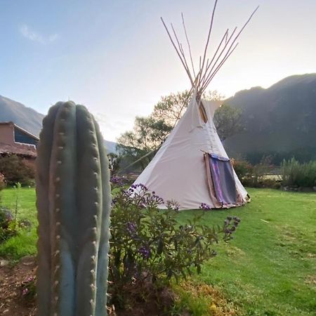 Sonqo Andino Hospedaje Medicina Pisac Luaran gambar