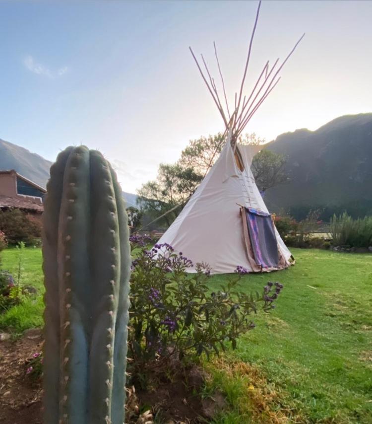 Sonqo Andino Hospedaje Medicina Pisac Luaran gambar